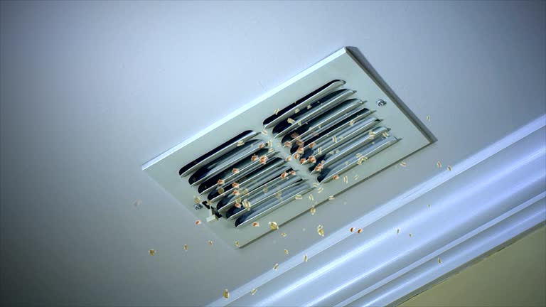 Best HVAC System Cleaning  in Flint Hill, MO